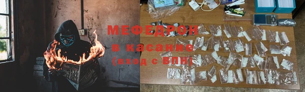 spice Богородицк