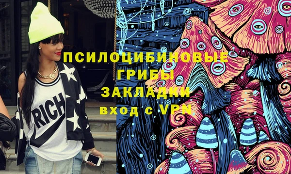 2c-b Богданович